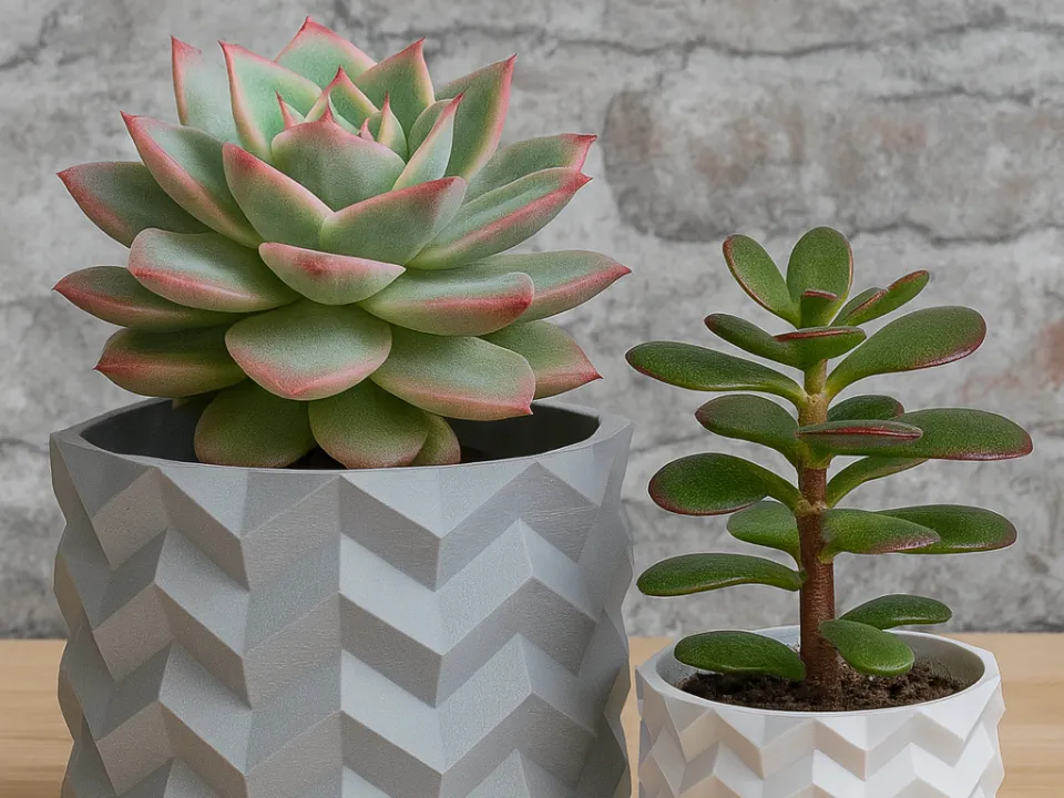 Maceta Geométrica