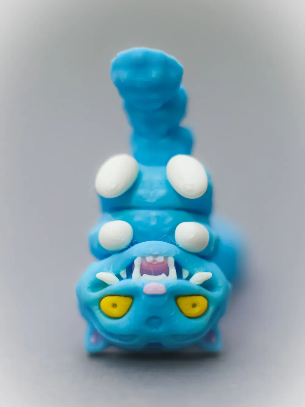 Tigre Guerreras K-pop Flex