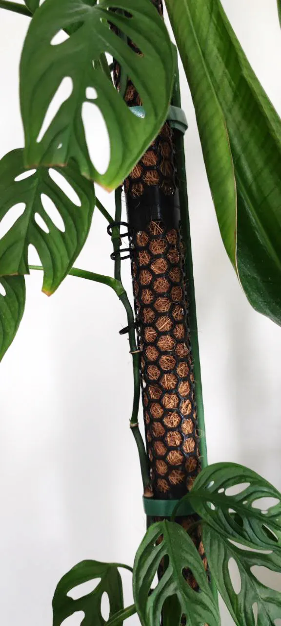 Tutores Rígidos para Plantas