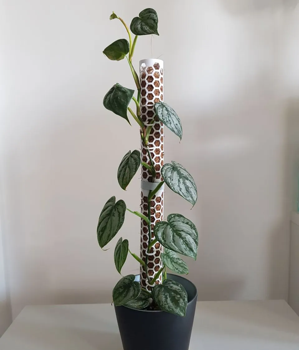 Tutores Rígidos para Plantas